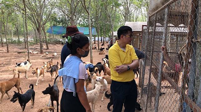 เดอะโฮปไทยแลนด์ ช่วยสุนัขจรจัดกว่า 600 ตัวในเมืองพัทยา ถูกทิ้งอดน้ำ-ข้าวปางตาย - ครูโอ๋ รูปที่ 2
