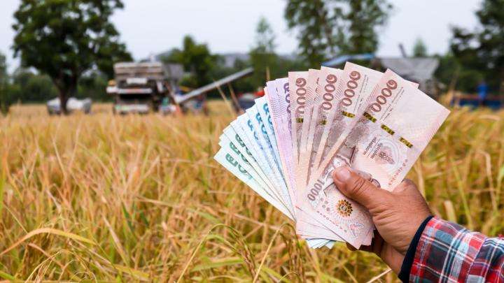 เช็กสิทธิ์ www.เยียวยาเกษตรกร.com ธ.ก.ส. เตรียมโอนเงิน 5,000 บาท งวดสุดท้าย - ครูโอ๋ รูปที่ 0