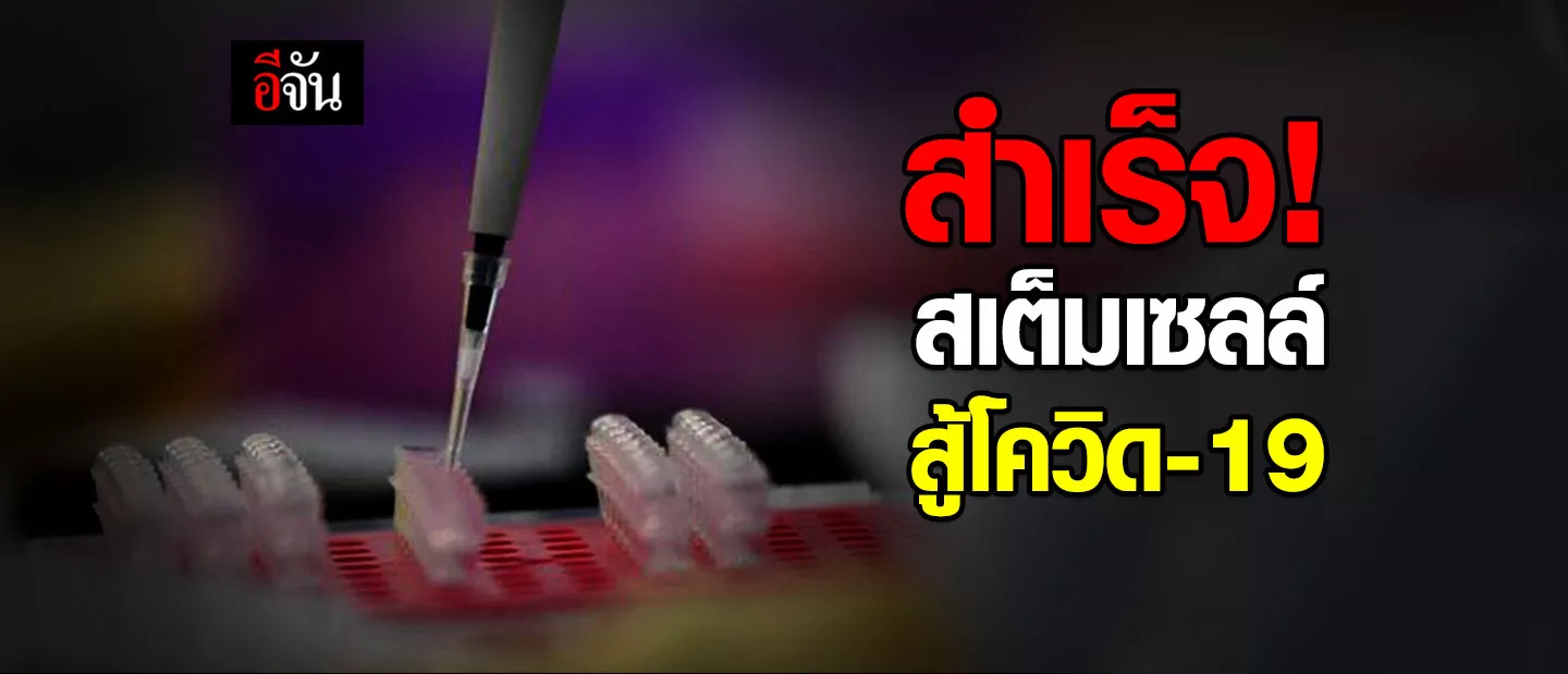 จีนใช้สเต็มเซลล์รักษาผู้ป่วยโควิด-19 อาการวิกฤต ซ่อมปอดจากการอักเสบสำเร็จ - ครูโอ๋ รูปที่ 1