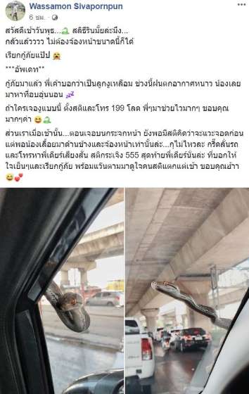 เล่นเอาสติแตก! ลูกงูเหลือมโผล่จ้องตา เผยนาทีสุดระทึก - ครูโอ๋ รูปที่ 1