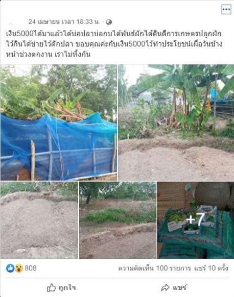 สุดยอด สาวร้อยเอ็ดนำเงินเยียวยา 5 พัน ลงทุนเลี้ยงปลากบ ปลูกผัก ขอมีกินอย่างยั่งยืน - ครูโอ๋ รูปที่ 1