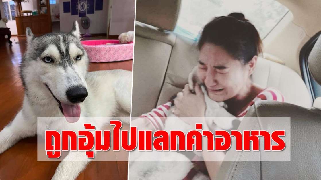 รู้ตัวแล้วรีบมา! กลุ่มวัยรุ่นพิเรนทร์ ขโมยหมาหลานสาวว่าที่ผู้ว่าฯ แลกเป็นค่าอาหาร - ครูโอ๋ รูปที่ 1