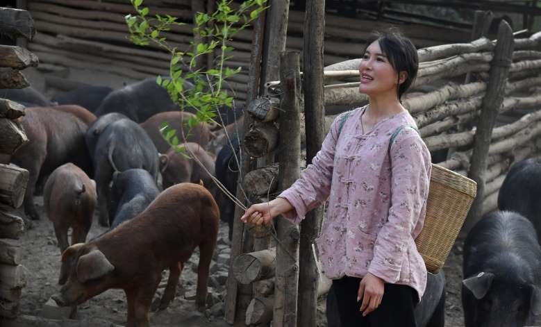 สาวไลฟ์สดขายหมูจนร่ำรวยกำไรปีละมากกว่า 3.6 ล้านบาท - ครูโอ๋ รูปที่ 3