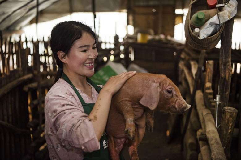 สาวไลฟ์สดขายหมูจนร่ำรวยกำไรปีละมากกว่า 3.6 ล้านบาท - ครูโอ๋ รูปที่ 3