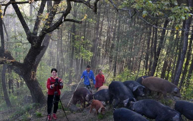 สาวไลฟ์สดขายหมูจนร่ำรวยกำไรปีละมากกว่า 3.6 ล้านบาท - ครูโอ๋ รูปที่ 3