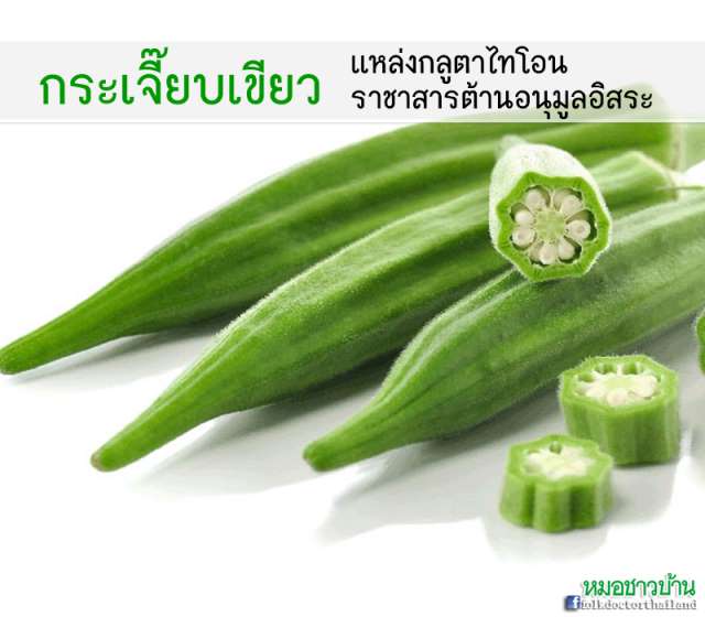 กระเจี๊ยบเขียว แหล่งกลูตาไทโอน ราชาสารต้านอนุมูลอิสระ - ครูโอ๋ รูปที่ 1