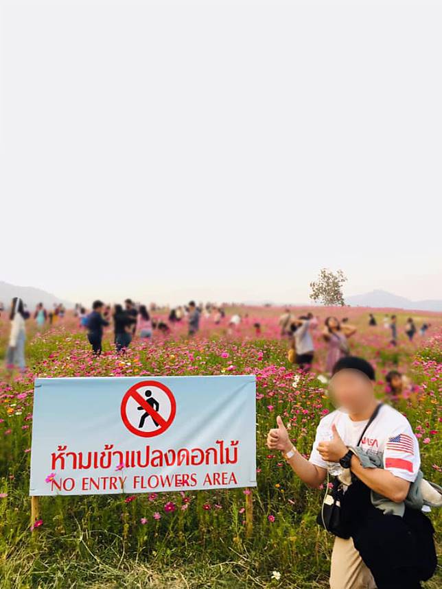 วิจารณ์สนั่น! นทท. บุกสวนดอกไม้ ไปถ่ายรูป ไม่แคร์ป้ายห้ามเข้า! - ครูโอ๋ รูปที่ 1