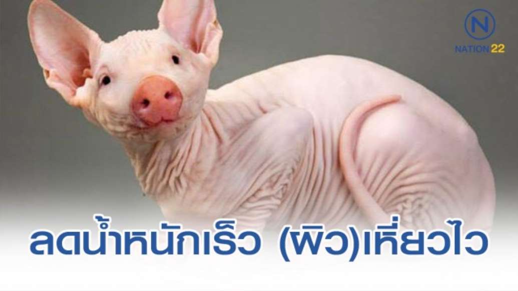 ลดน้ำหนักเร็ว (ผิว)เหี่ยวไว - ครูโอ๋ รูปที่ 0