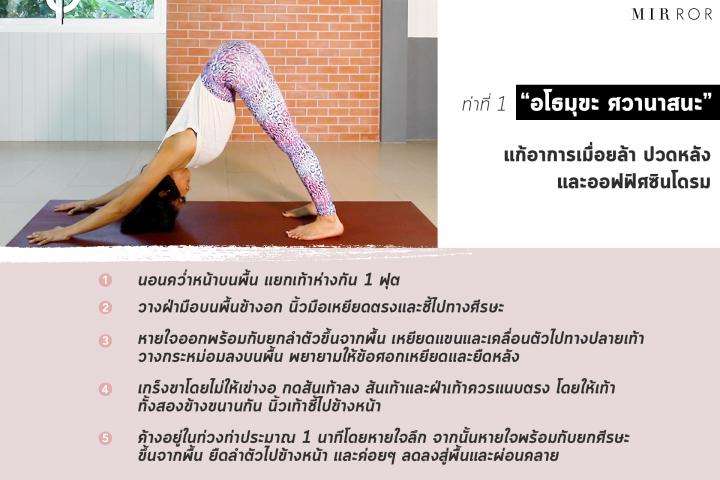 3 ท่า โยคะ แก้ปัญหาสุขภาพสาวออฟฟิศ - ครูโอ๋ รูปที่ 0