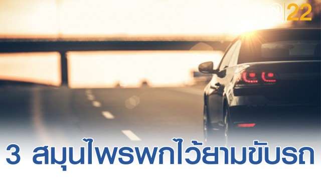 3 สมุนไพร ควรพกไว้ยามเดินทาง - ครูโอ๋ รูปที่ 0