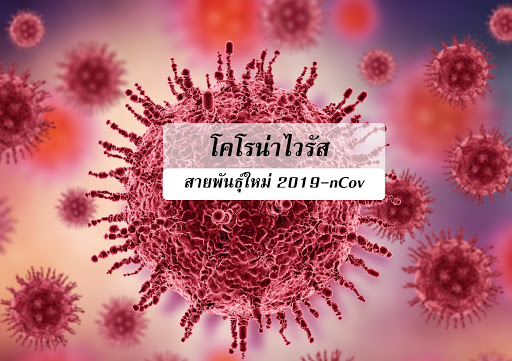 ทัวร์ดัง ข้องใจ รัฐแนะนำไม่ให้เดินทางประเทศเสี่ยงไวรัส แต่ไร้เยียวยาหวั่นธุรกิจพัง - ครูโอ๋ รูปที่ 1
